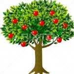 クリスマスツリー　由来　飾り　意味　リンゴの木